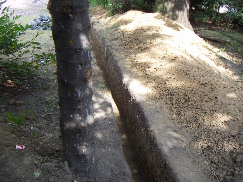 kosciol (37)